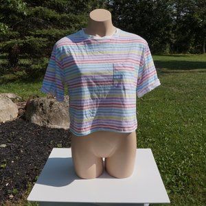 Rainbow Striped F21 Crop Top
